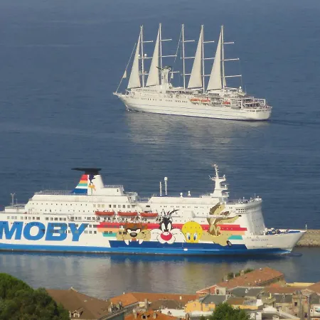 Charmantes 792 Route Inferieure De Cardo Bastia (Corsica)