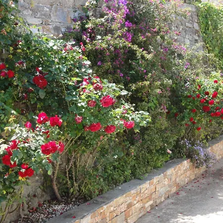 Charmantes 792 Route Inferieure De Cardo Bastia (Corsica)