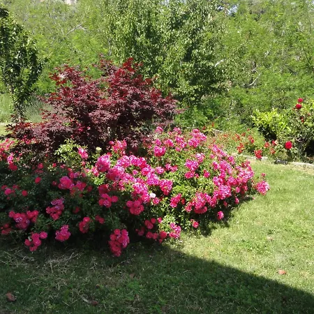 Charmantes 792 Route Inferieure De Cardo * Bastia (Corsica)